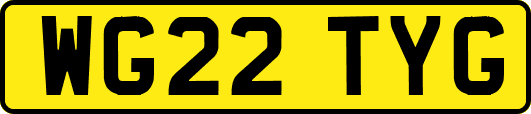 WG22TYG