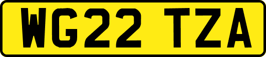 WG22TZA