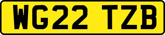 WG22TZB