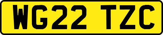 WG22TZC