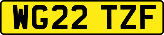 WG22TZF