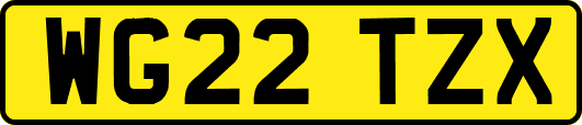 WG22TZX