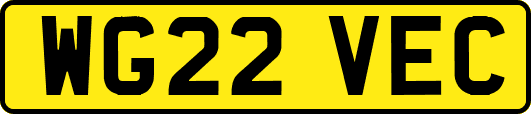 WG22VEC