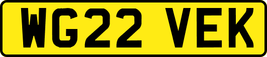 WG22VEK