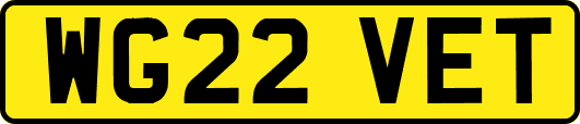 WG22VET