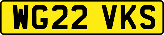 WG22VKS