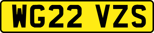 WG22VZS