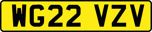 WG22VZV