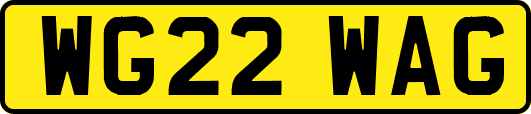 WG22WAG