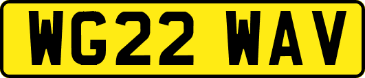 WG22WAV