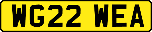 WG22WEA