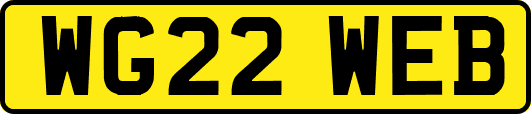 WG22WEB