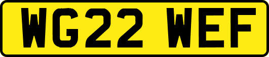 WG22WEF