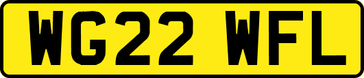 WG22WFL