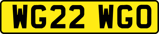 WG22WGO