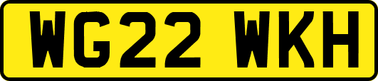 WG22WKH
