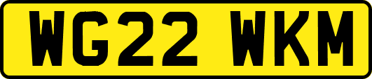 WG22WKM