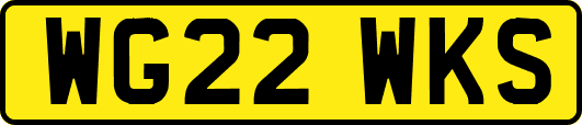 WG22WKS
