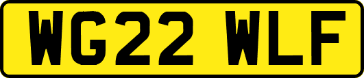 WG22WLF