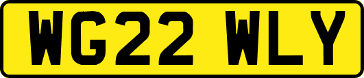 WG22WLY
