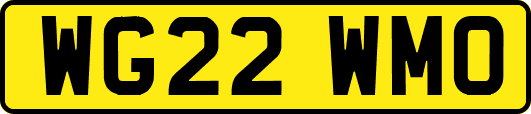 WG22WMO