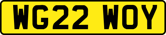 WG22WOY
