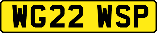 WG22WSP