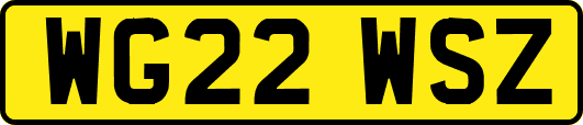 WG22WSZ