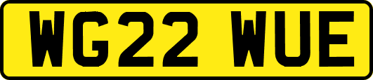 WG22WUE