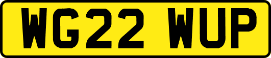 WG22WUP