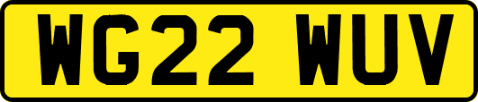 WG22WUV