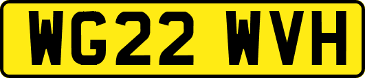 WG22WVH