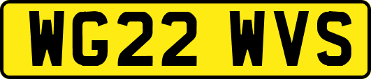 WG22WVS