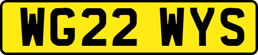WG22WYS