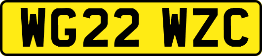 WG22WZC
