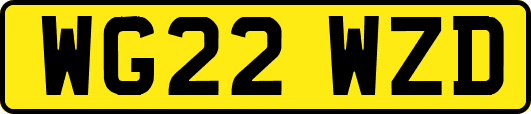 WG22WZD