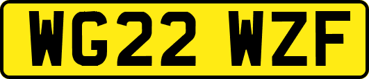 WG22WZF