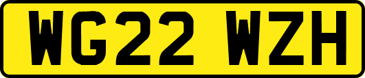 WG22WZH