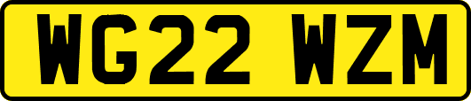 WG22WZM
