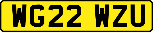 WG22WZU