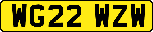 WG22WZW