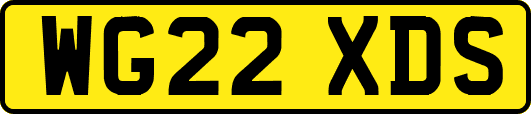 WG22XDS