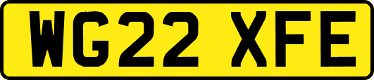 WG22XFE