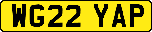 WG22YAP