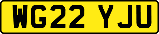 WG22YJU