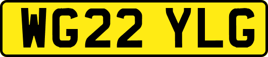 WG22YLG