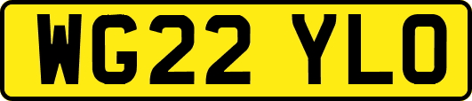 WG22YLO