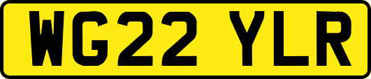WG22YLR