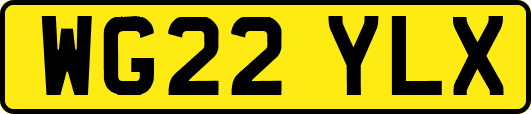 WG22YLX