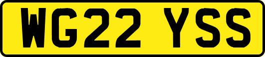 WG22YSS